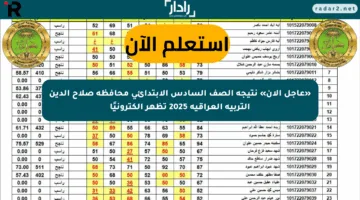 خطوات بسيطة… استعلام نتائج الصف السادس الابتدائي 2025 العراق عبر موقعي وزارة التعليم و”نتائجنا”